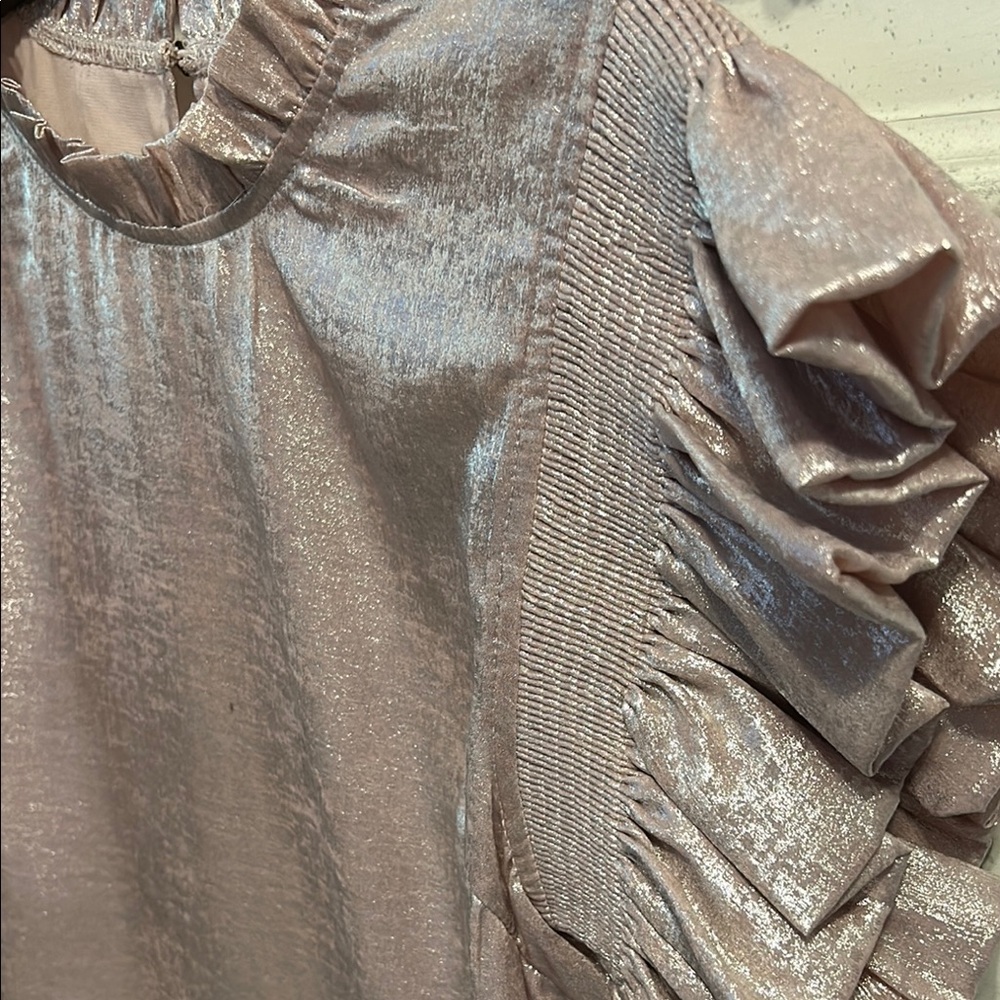 Metallic Ruffle Sleeve Top - Picture 2 of 9